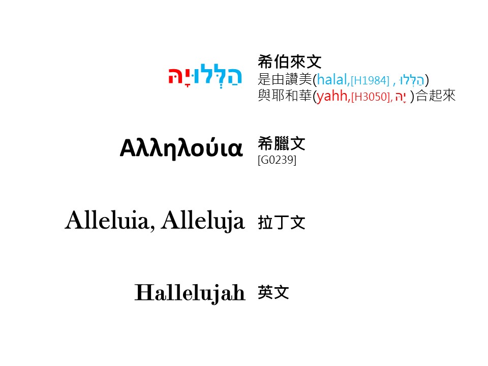 20230713 哈利路亞念法